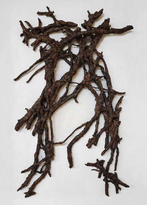 Scholar Roots 2  by Cheryl A Richey