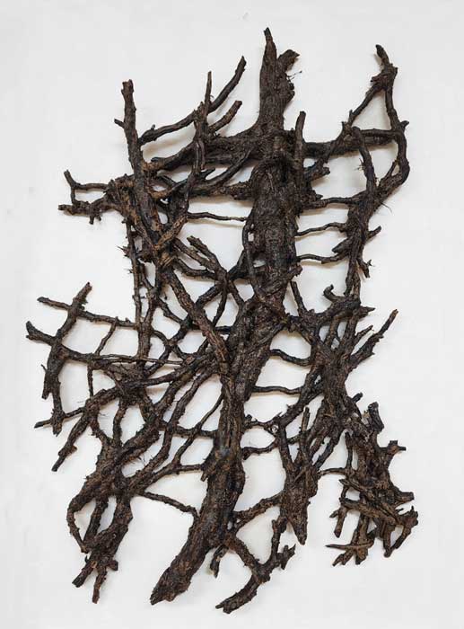 Scholar Roots 3  by Cheryl A Richey